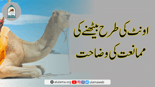 اونٹ کی طرح بیٹھنے کی ممانعت کی وضاحت
