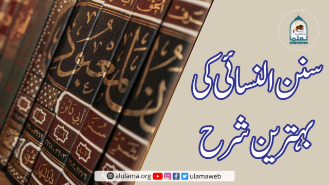 سنن النسائی کی بہترین شرح!