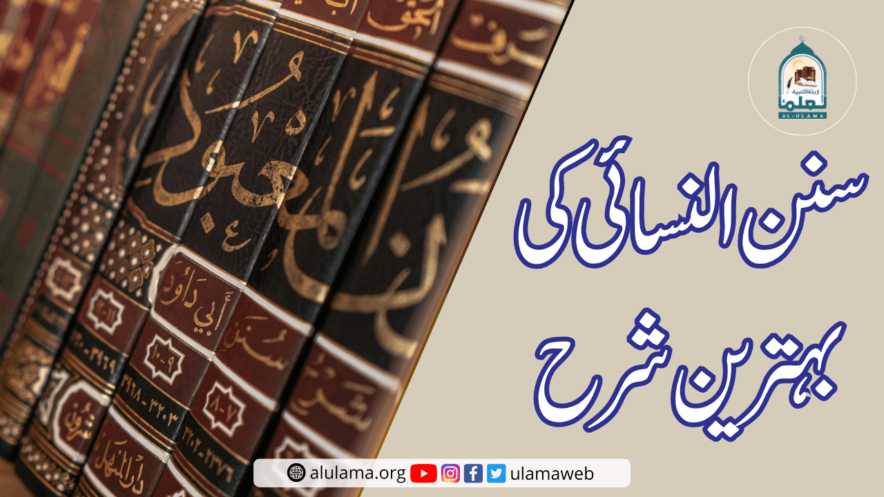 سنن النسائی کی بہترین شرح!