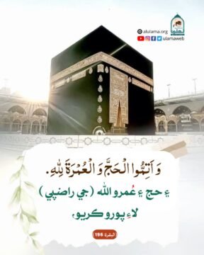 حج ۽ عمرو ڪريو.