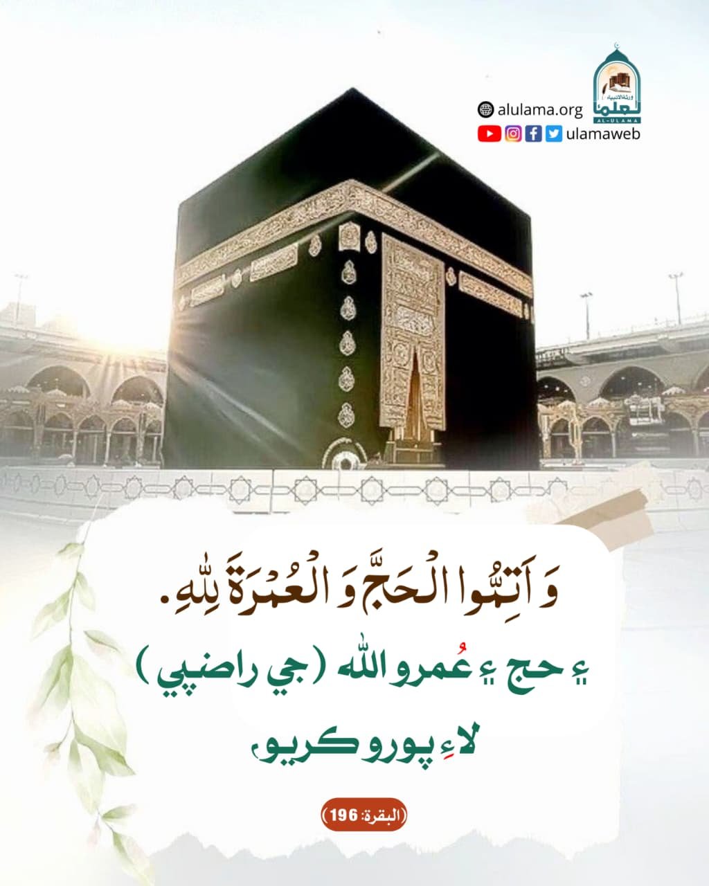 حج ۽ عمرو ڪريو.