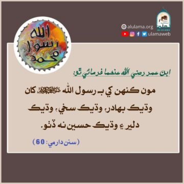 رسول الله ﷺ جون صفتون