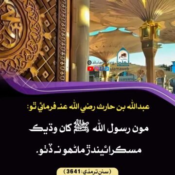 رسول اللہ صلي اللہ عليہ وسلم جي مسڪراھٽ