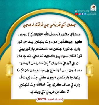 جنھن کي قرباني جي طاقت ناھي