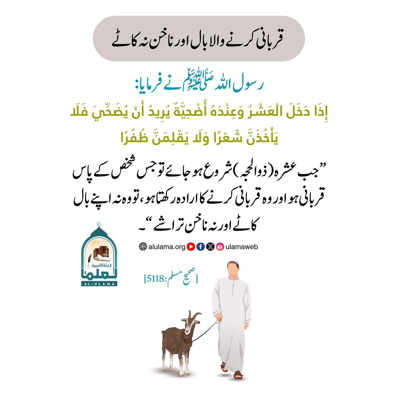 قربانی کرنے والا بال اور ناخن نہ کاٹے