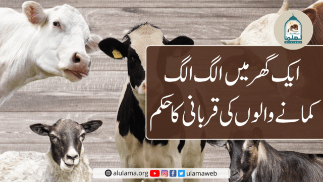 ایک گھر میں الگ الگ کمانے والوں کی قربانی کا حکم