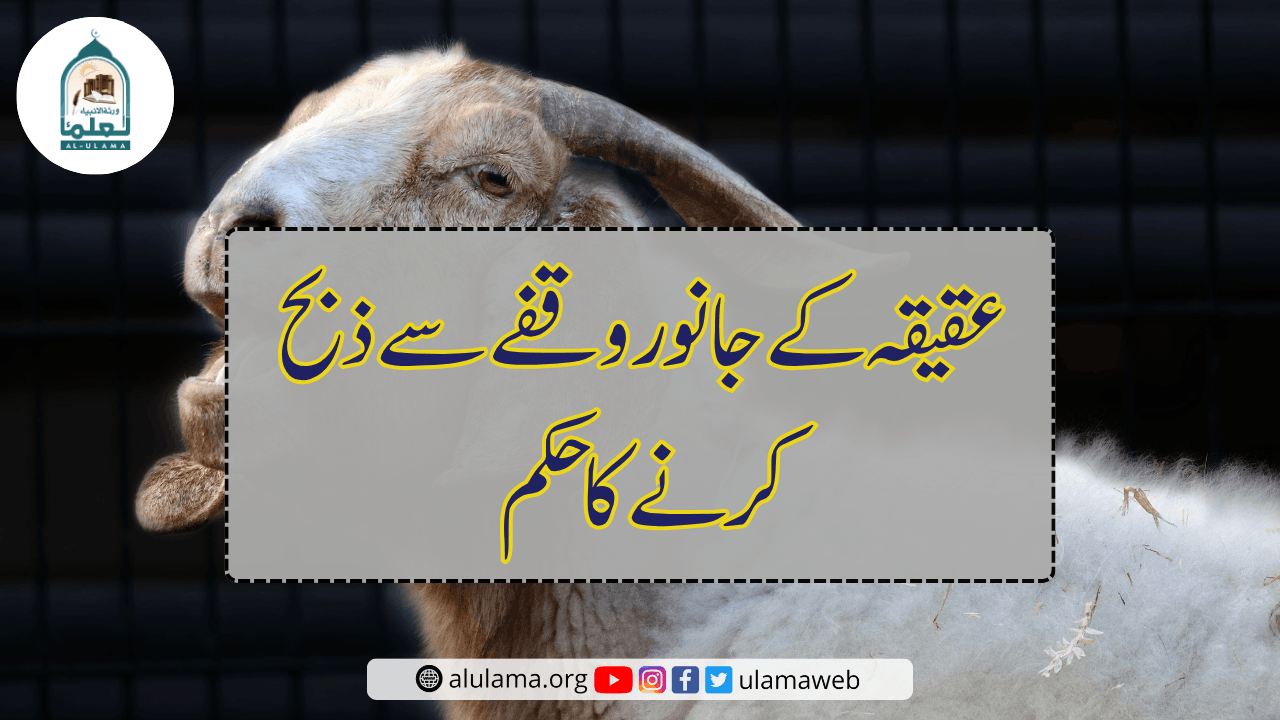 عقیقہ کے جانور وقفے سے ذبح کرنے کا حکم