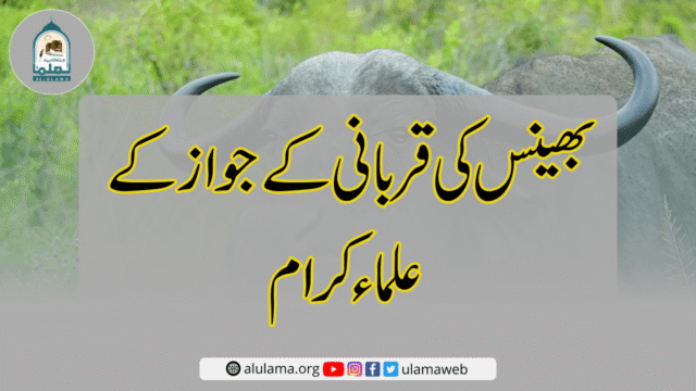 بھینس کی قربانی کے جواز کے علماء کرام