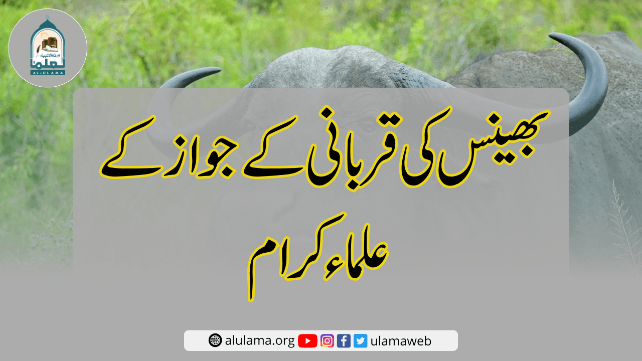 بھینس کی قربانی کے جواز کے علماء کرام