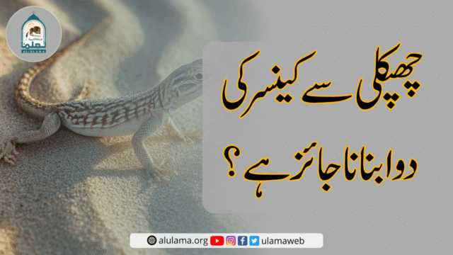 چھپکلی سے کینسر کی دوا بنانا جائز ہے؟