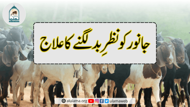 جانور کو نظرِ بد لگنے کا علاج