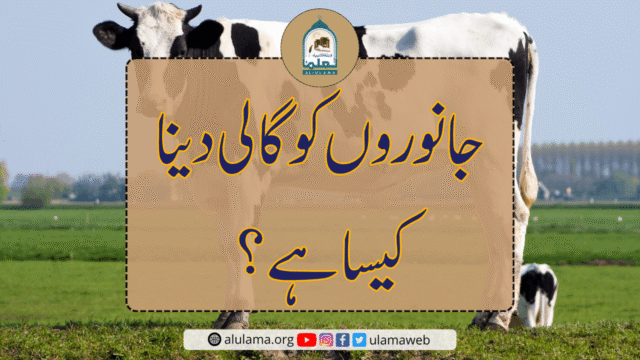جانوروں کو گالی دینا کیسا ہے؟