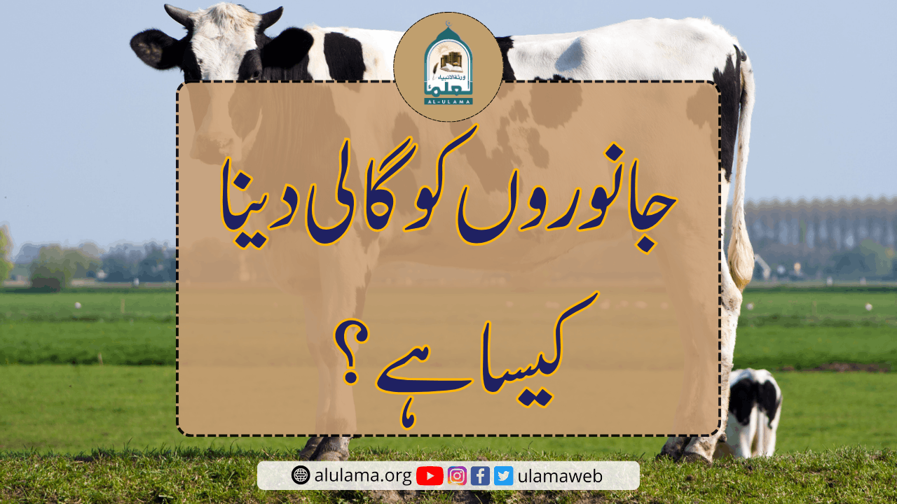 جانوروں کو گالی دینا کیسا ہے؟