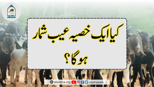 کیا ایک خصیہ عیب شمار ہوگا؟