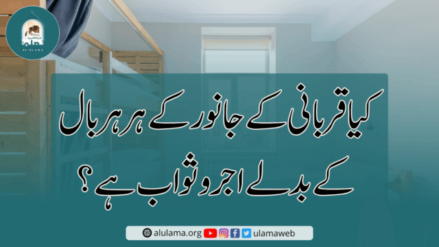 کیا قربانی کے جانور کے ہر ہر بال کے بدلے اجر وثواب ہے؟