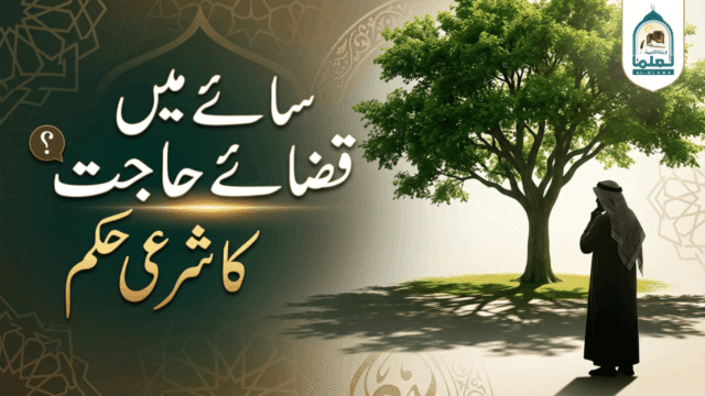 سائے میں قضائے حاجت کا شرعی حکم