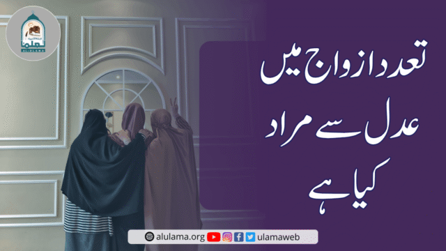 تعدد ازواج میں عدل سے مراد کیا ہے