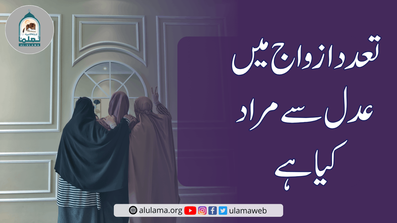 تعدد ازواج میں عدل سے مراد کیا ہے