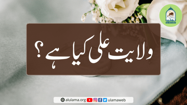 ولایت علی کیا ہے؟