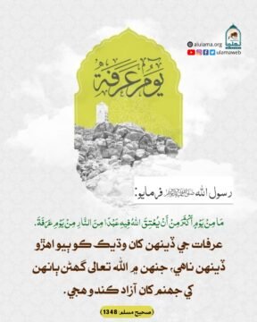 عرفات جي ڏينھن جي فضيلت