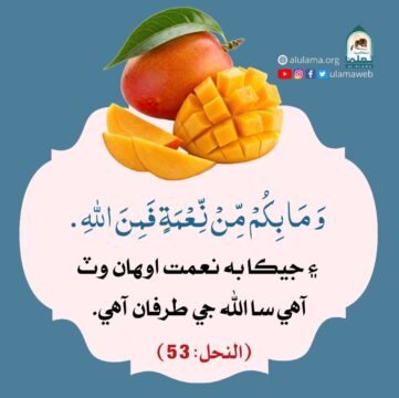 سڀ نعمتون اللہ طرفان آھن