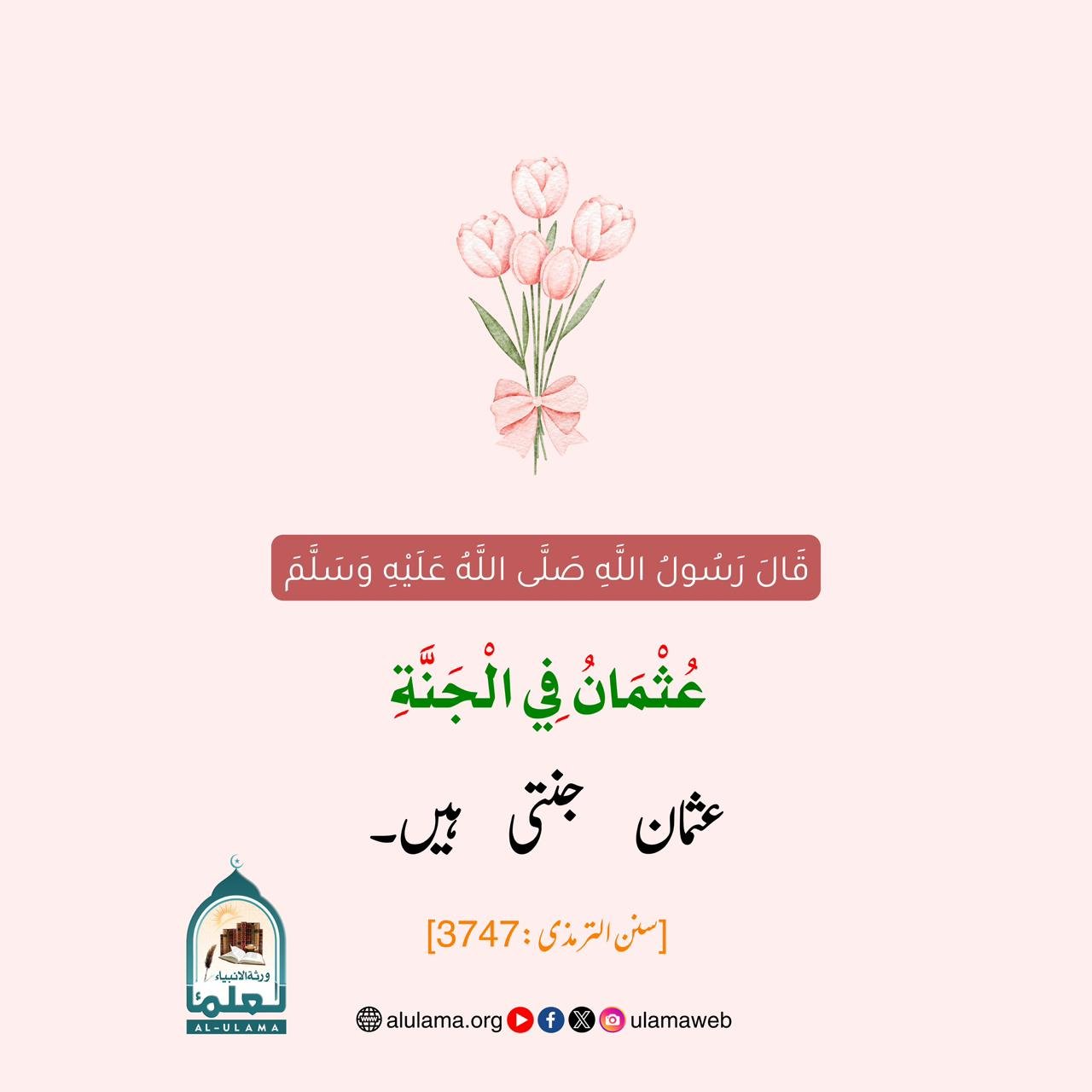 عثمان جنتی ہیں