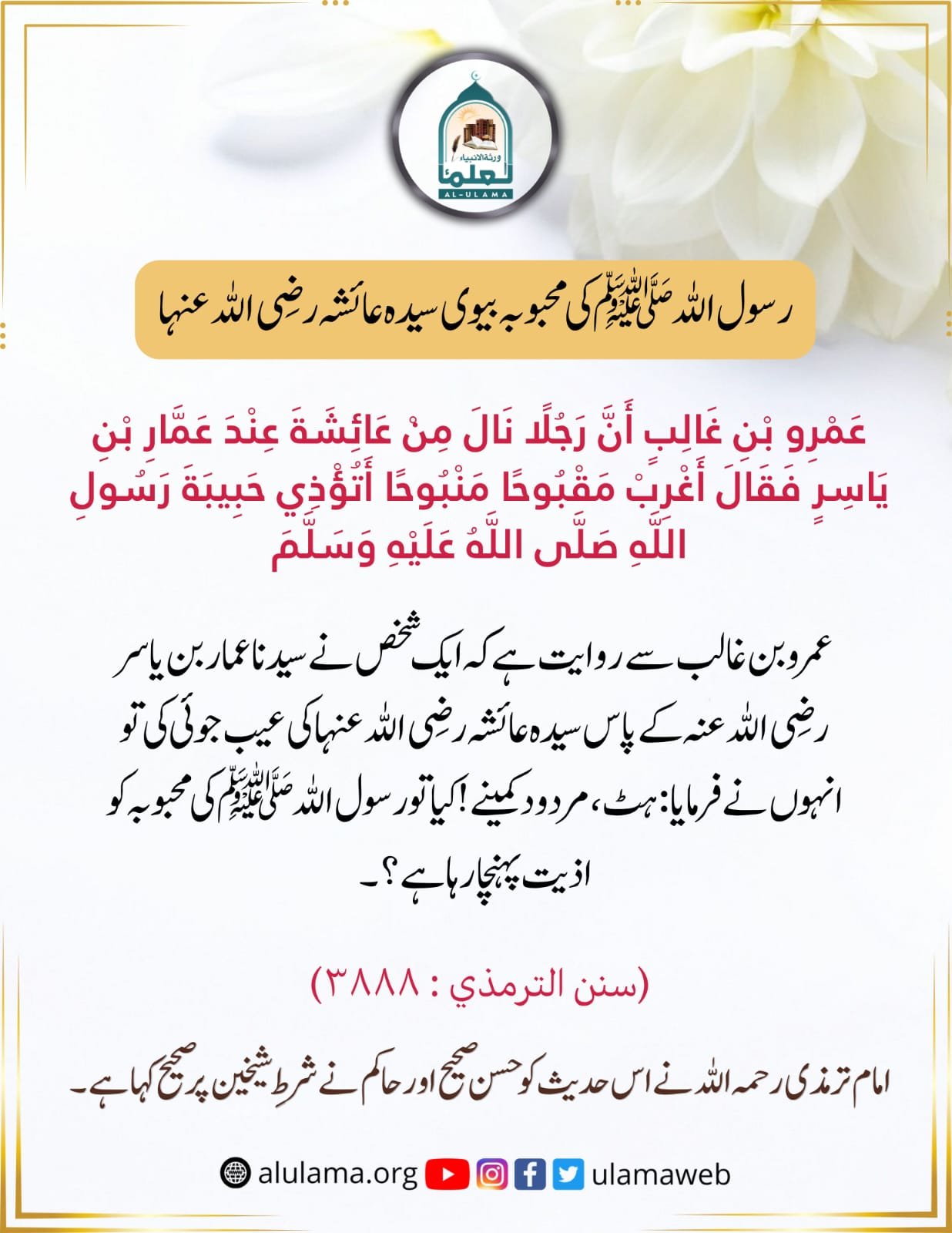 رسول اللہ ﷺ کی محبوبہ بیوی سیدہ عائشہ رضی اللہ عنہا