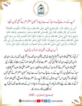 آپ کے روئے پاک و مبارک سے زیادہ حسین منظر ہم نے کبھی نہیں دیکھا