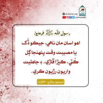 ھڪ تنبيہ