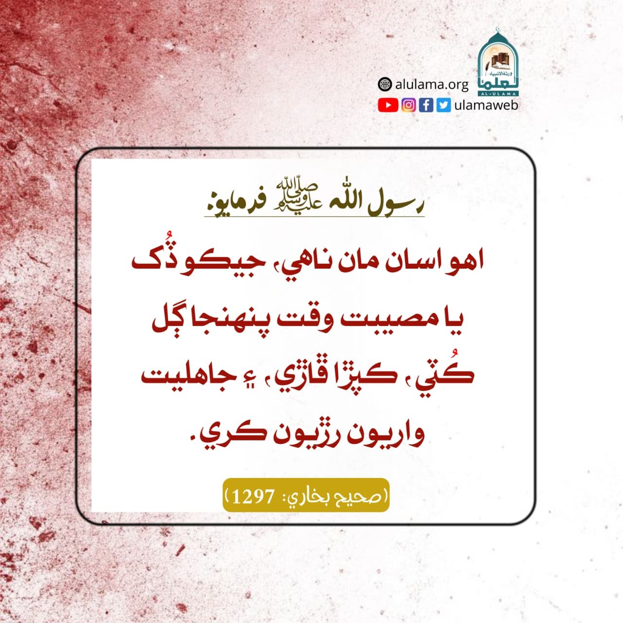 ھڪ تنبيہ