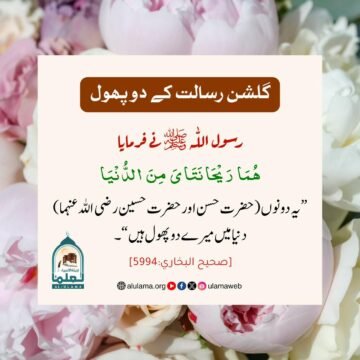 گلشنِ رسالت کے دو پھول