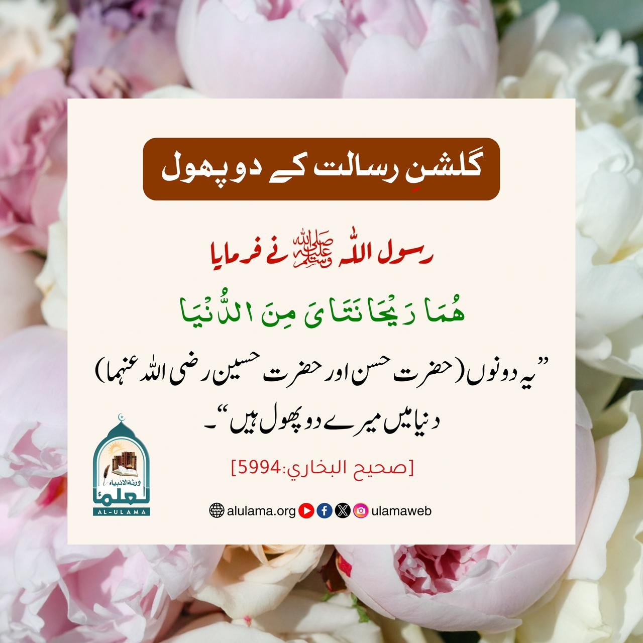 گلشنِ رسالت کے دو پھول