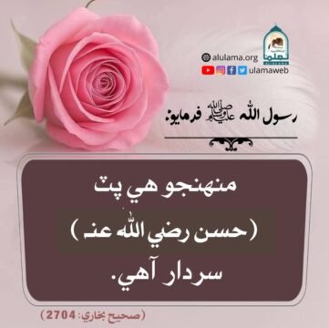 سيدنا حسن رضي اللہ عنہ جي فضيلت