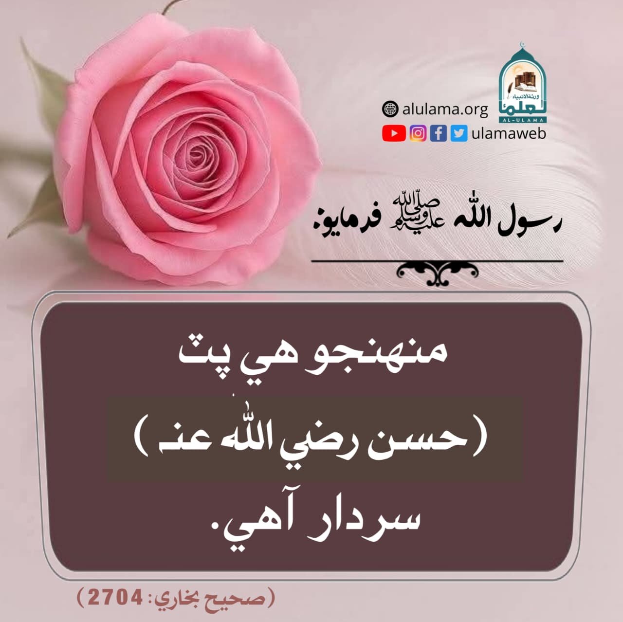 سيدنا حسن رضي اللہ عنہ جي فضيلت