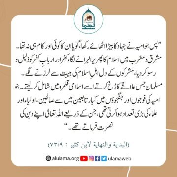 بنو امیہ نے جہاد کا بیڑا اٹھایا
