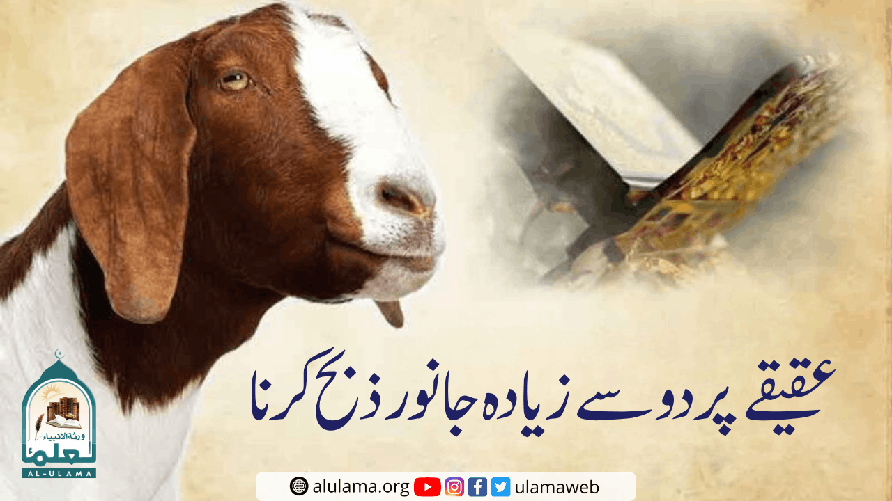 عقیقے پر دو سے زیادہ جانور ذبح کرنا