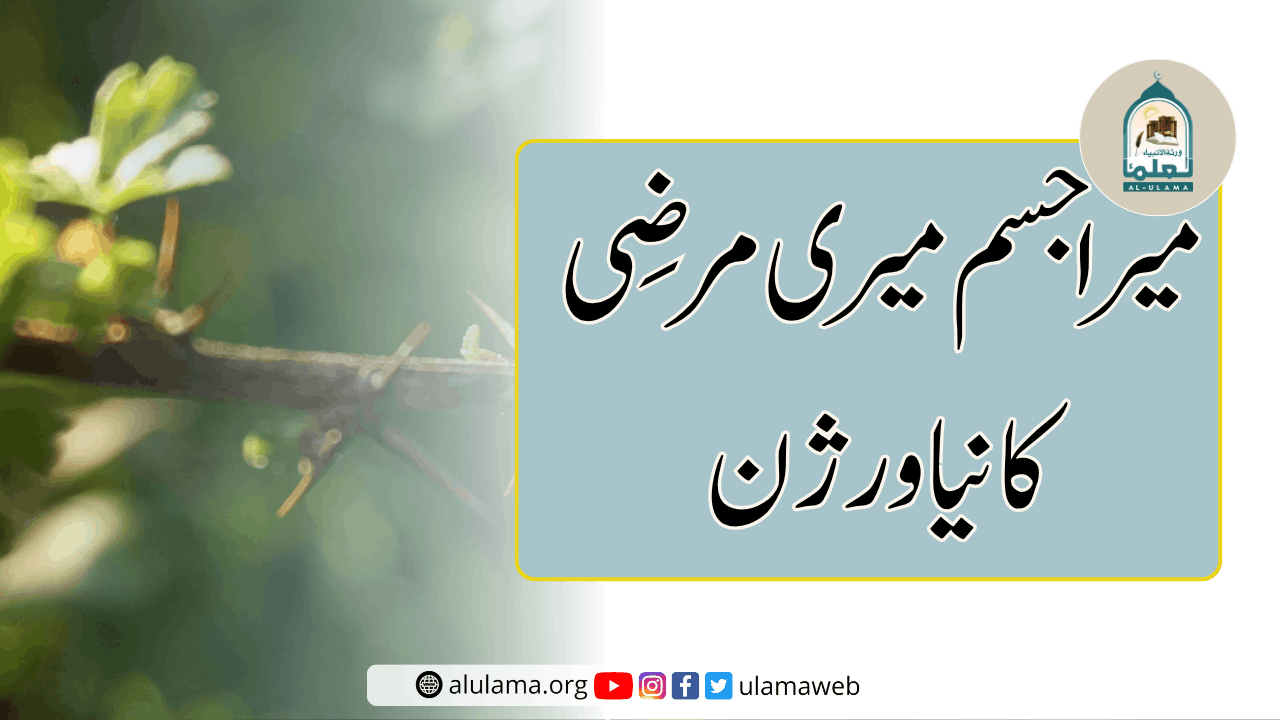 میرا جسم میری مرضی کا نیا ورژن