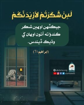 شڪر گذاري جا ثمرات