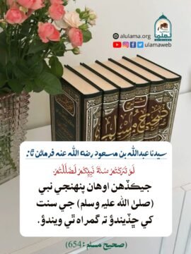 سنت کي ڇڏڻ گمراھي آھي