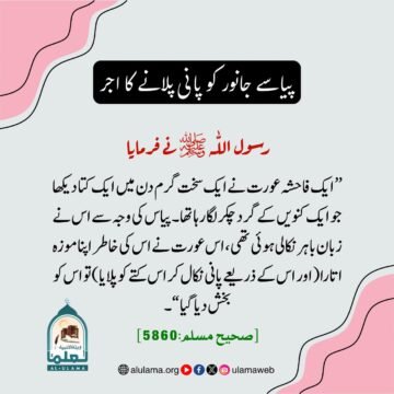 پیاسے جانور کو پانی پلانے کا اجر