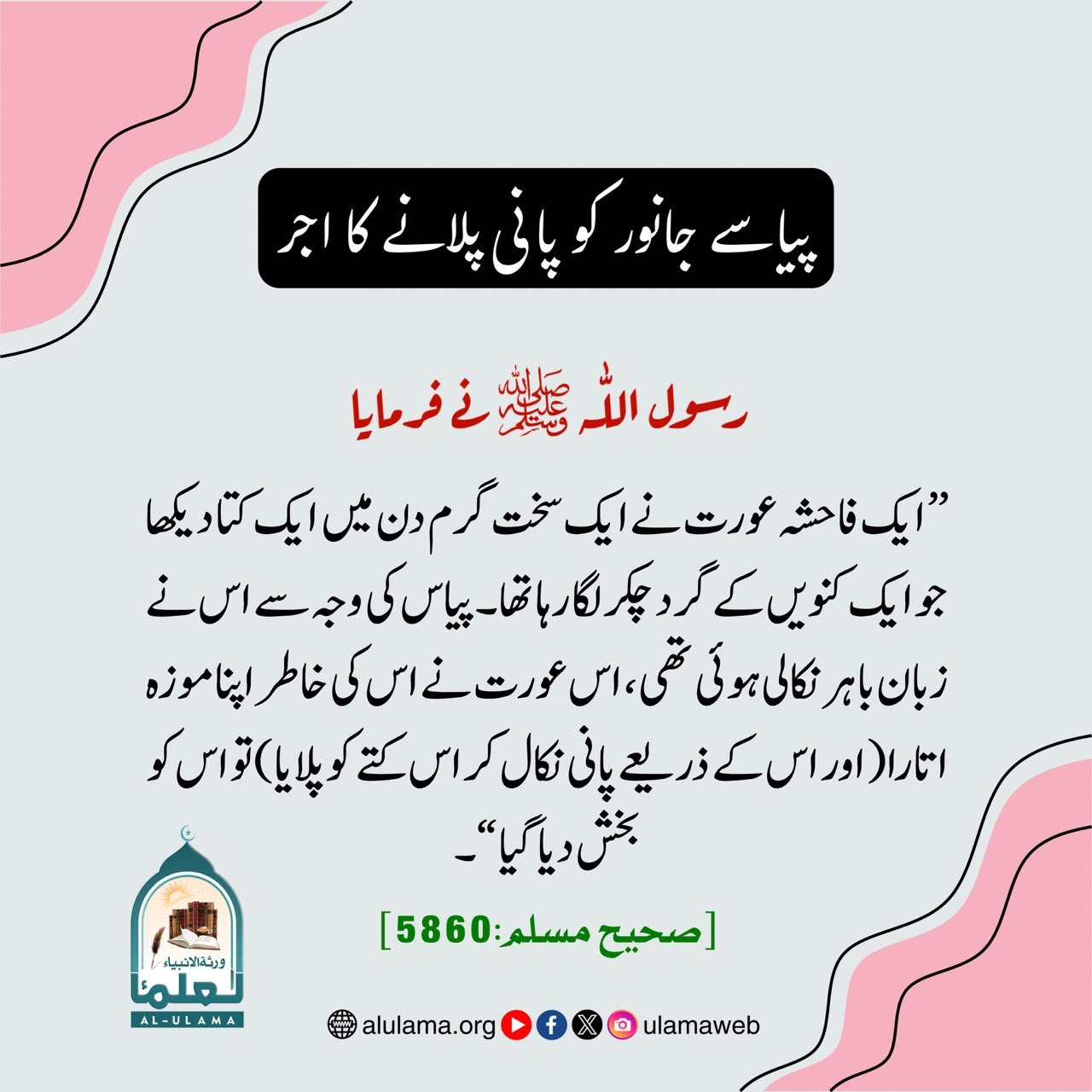 پیاسے جانور کو پانی پلانے کا اجر