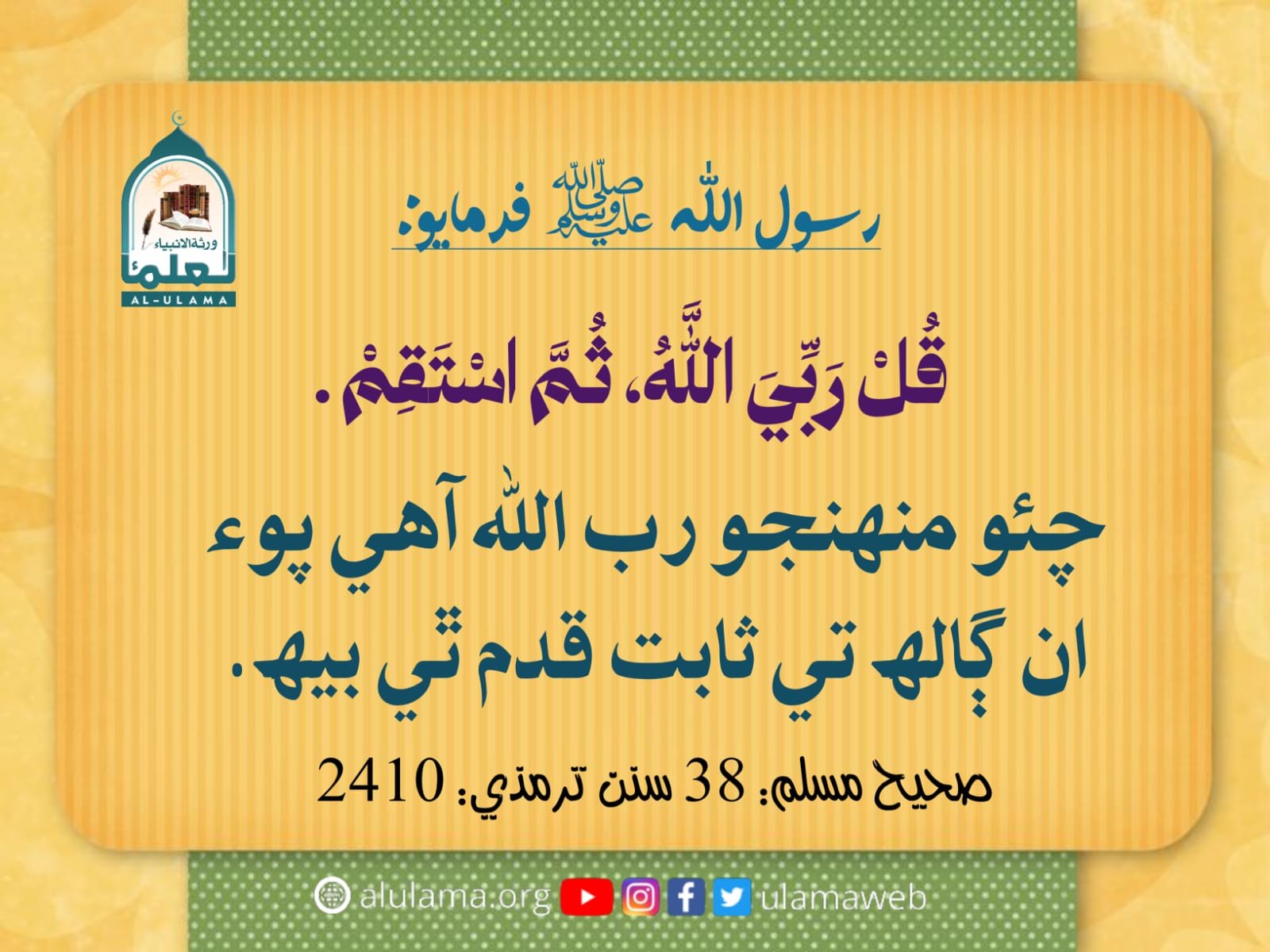 توحيد تي استقامت
