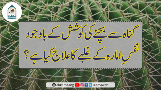 گناہ سے بچنے کی کوشش کے باوجود نفسِ امارہ کے غلبے کا علاج کیا ہے؟