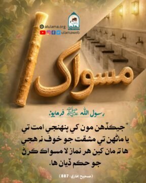 مسواڪ جي اھميت
