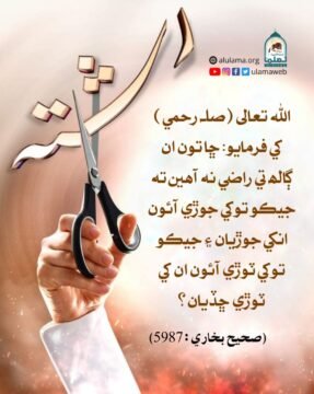 قلع رحمي جو انجام