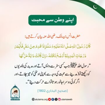 اپنے وطن سے محبت