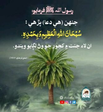 پنھنجي لاء جنت ۾ وڻ لڳايو