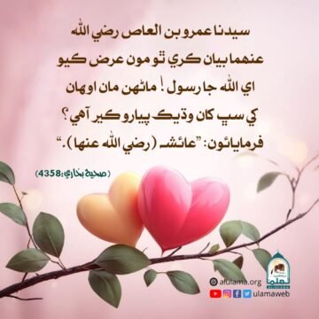 سيده عائشه رضي الله عنھا جي فضيلت