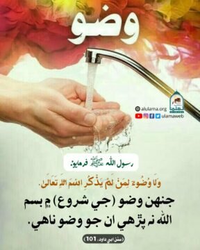 وضو جي شروع ۾ بسم الله پڙھڻ