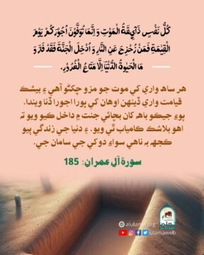 موت برحق آھي